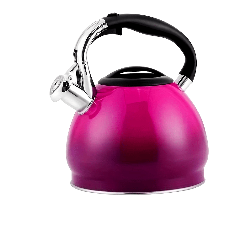 Stainless Steel Whistling Tea Kettle Gradient Design for Gas and Induction Stoves