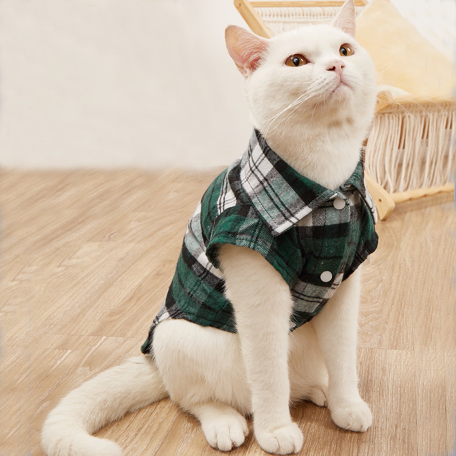 Small Dog and Cat Plaid Shirt with Button Closure and Polyester Material