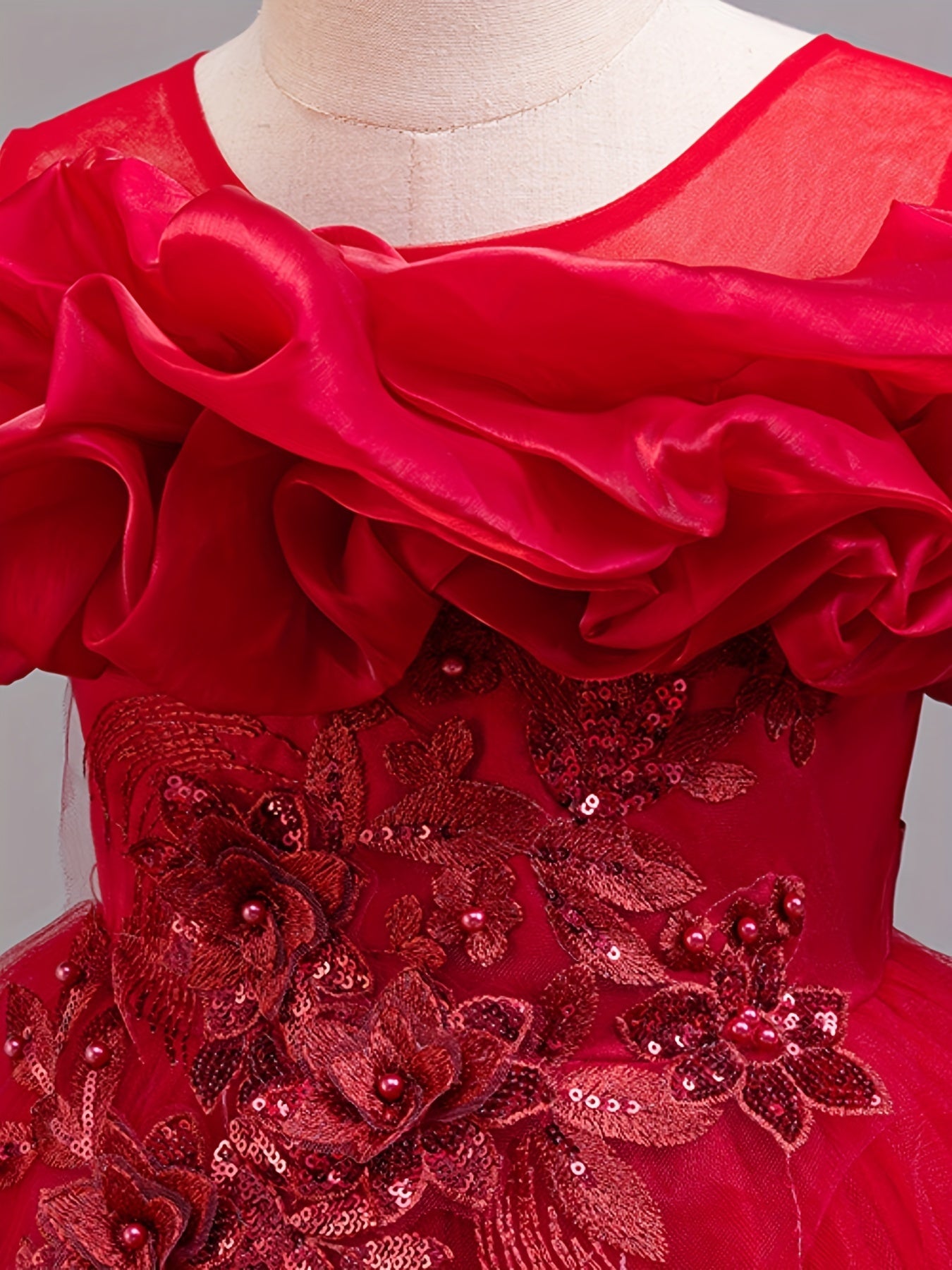 Girls Embroidered Mesh Ball Gown Dress for Parties and Holidays Long Length