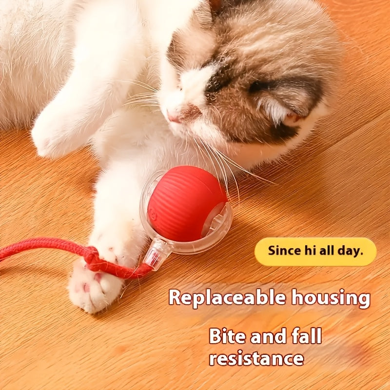 Interactive USB Rechargeable Cat Toy with Rotating Ball for Small Breeds