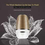 3-Head Electric Facial Cleansing Brush USB Rechargeable Portable Face Wash and Makeup Remover