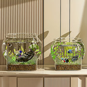 Round Transparent PC Fish Tank Small Desktop Aquarium for Hydroponics