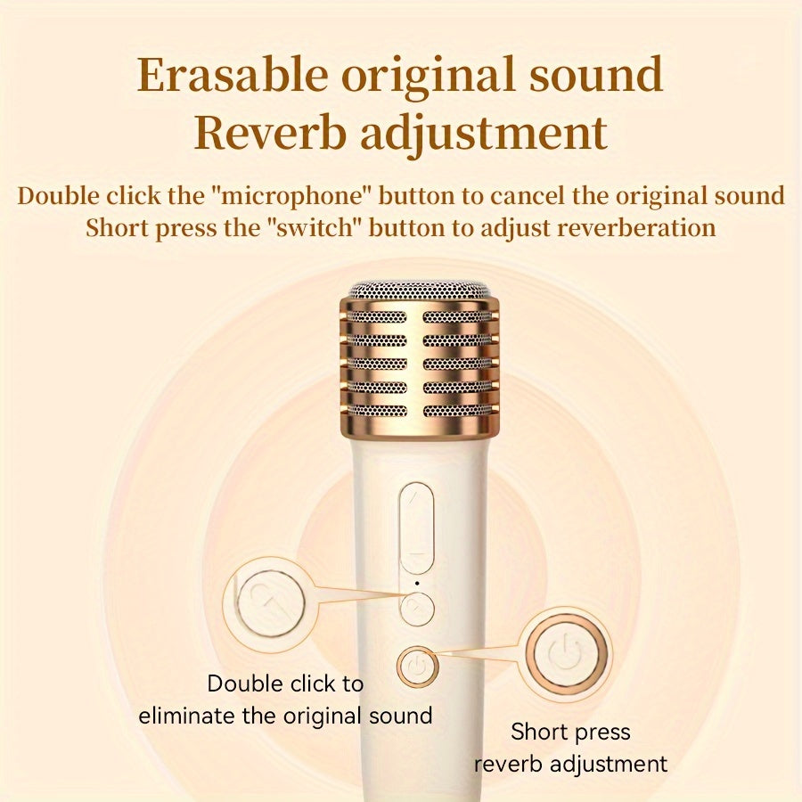 Mini Karaoke Machine with Wireless Microphone Party Lights for Kids and Teens