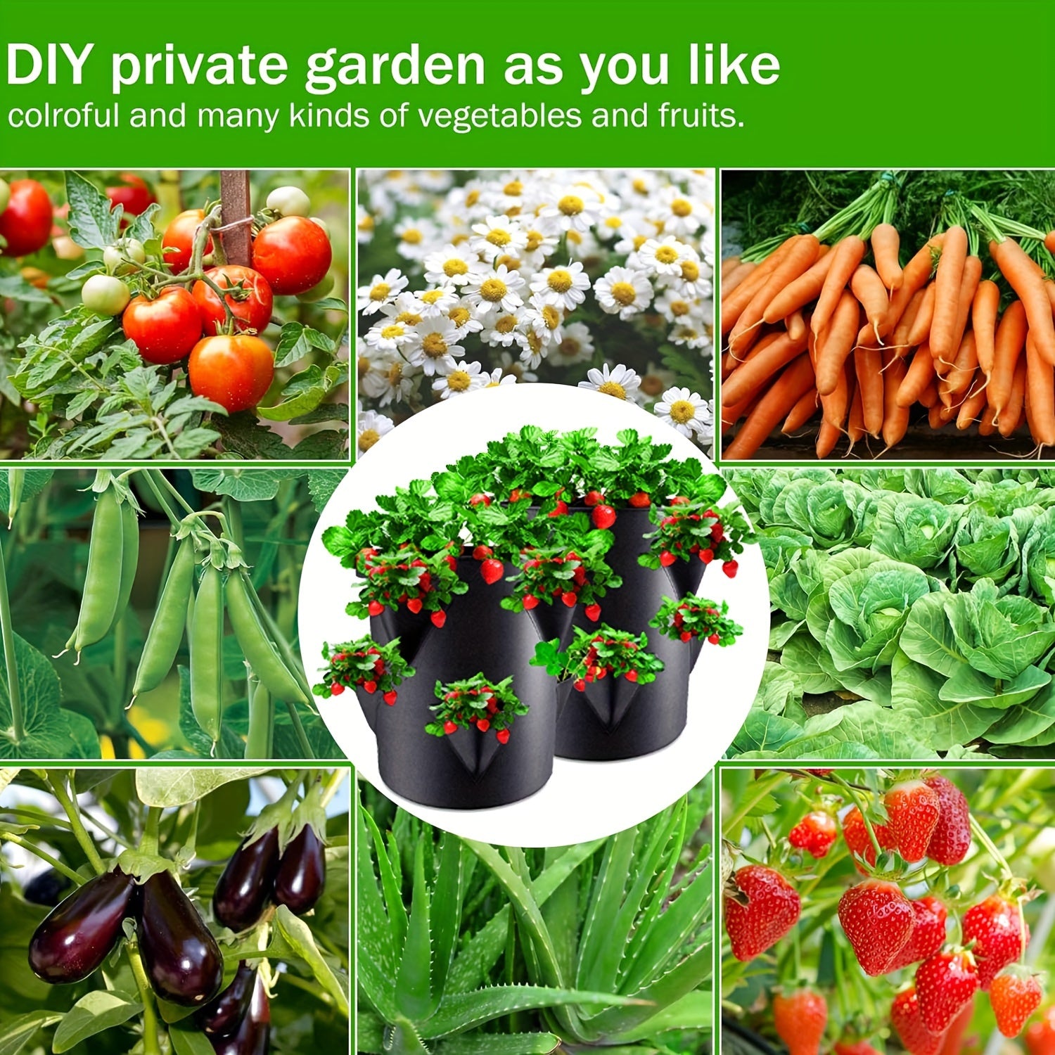 Set of 2 37.85L Strawberry Planting Bags with Window and Handle for Indoor Outdoor Gardening