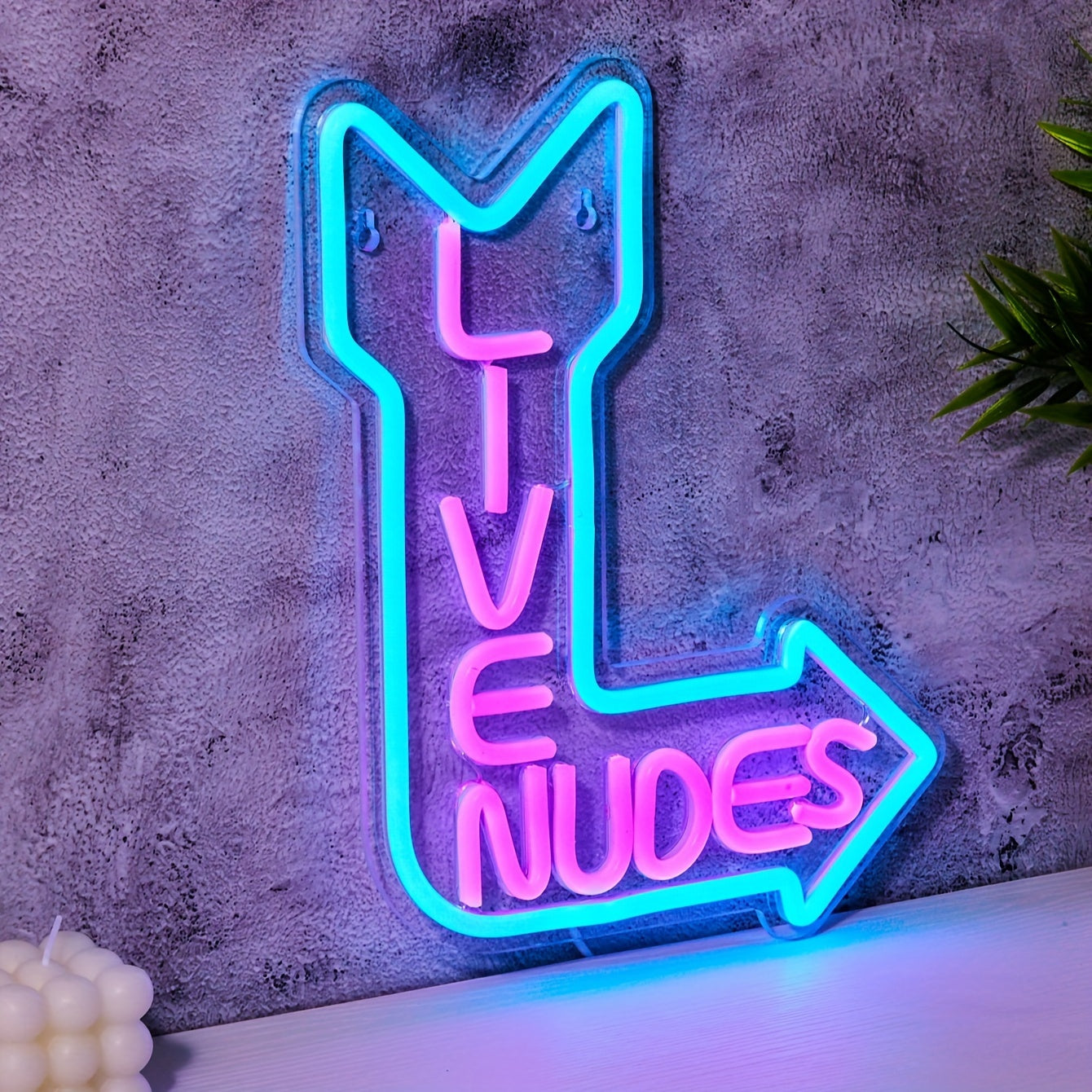 LED Neon Lights for Parties USB Powered Nudes Sign