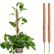 Set of Two Flexible Indoor Plant Support Poles for Climbing Plants