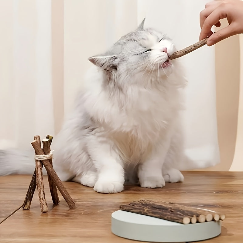 8pcs Natural Wooden Cat Chew Sticks for Teeth Health and Oral Care