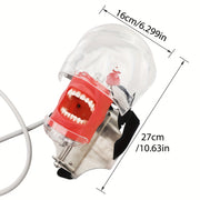 Dental Simulation Head Model with Removable Teeth for Orthodontic Education and Training