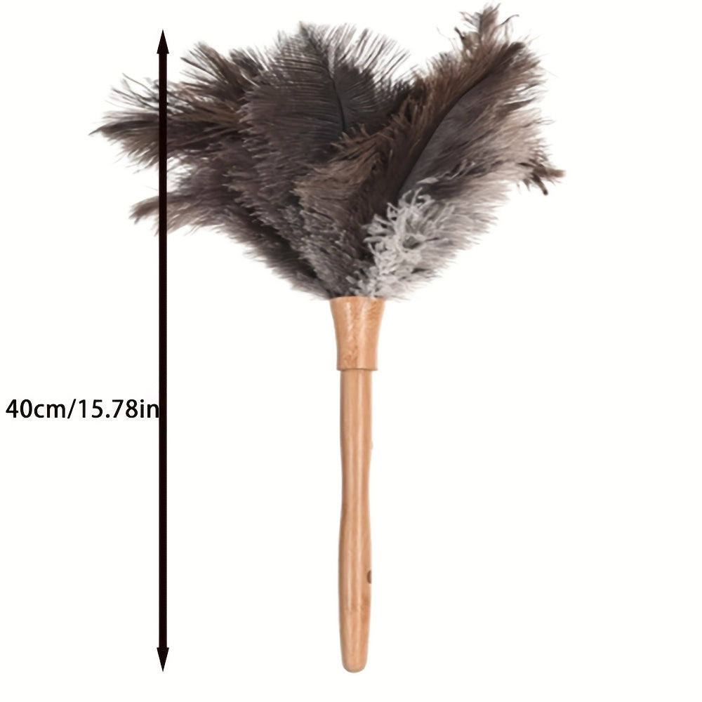 Yuqori sifatli tuya parasi tozalovchi - Yog'och tutqichi bilan - Nozik ob'ektlar va uy yuzalarini yumshoq va pufak paralar bilan ehtiyotkorlik bilan tozalash uchun, uzoq muddatli va zarar yetkazmaydigan tozalash aksessuari.