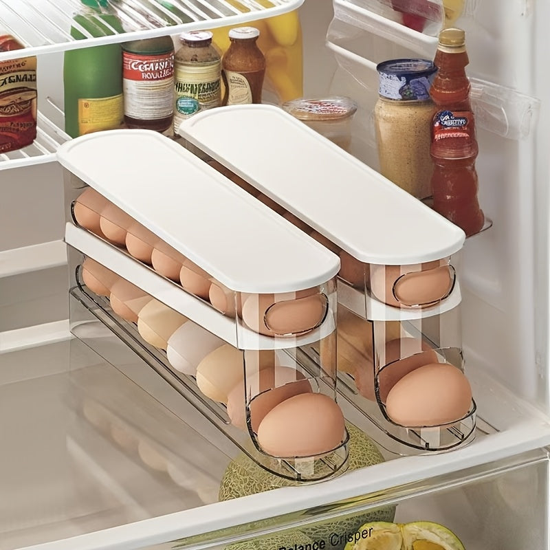 Double Layer Egg Storage Rack for Refrigerator Door Clear Plastic Organizer