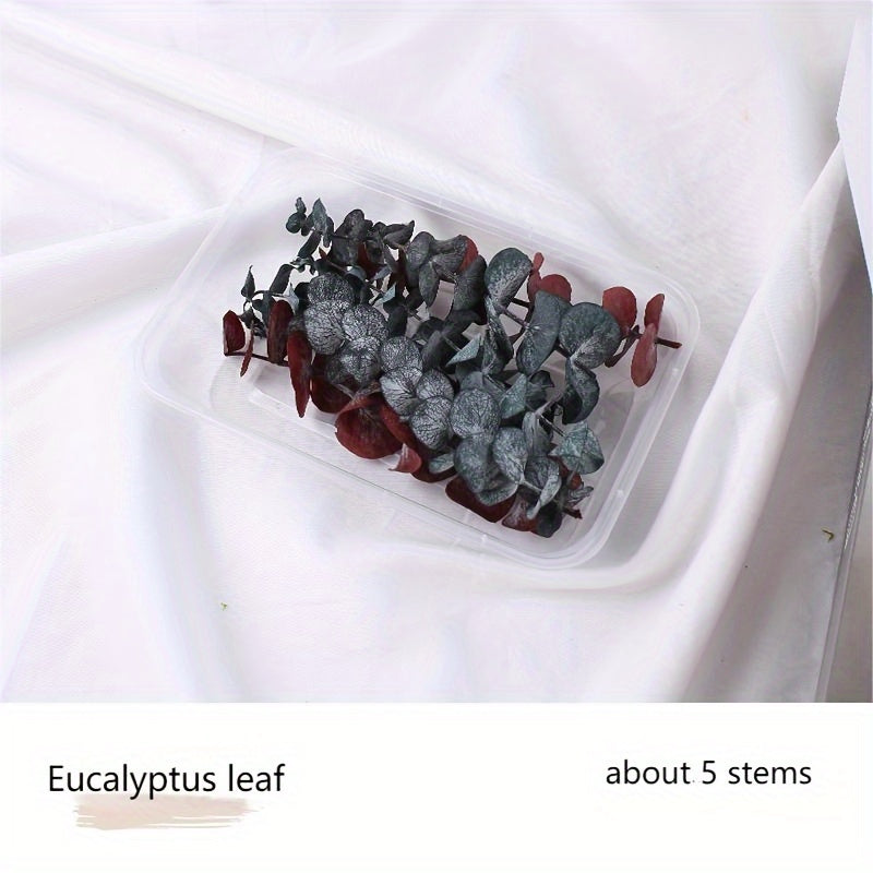 Бохо-Шик Рождественский Набор для Ремесел: Натуральный Растительный Декор для DIY Проектов, Венков и Подарков