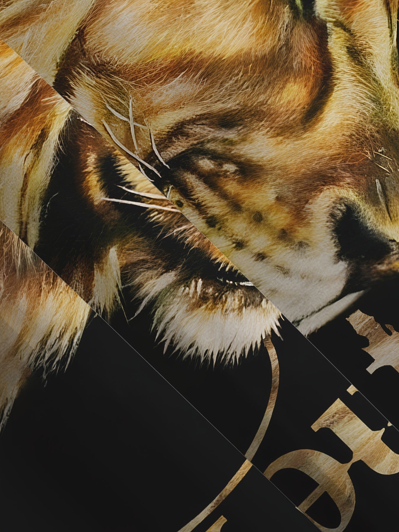 Men's Lion Print Hoodie and Sweatpants Set Polyester Knit Casual Regular Fit