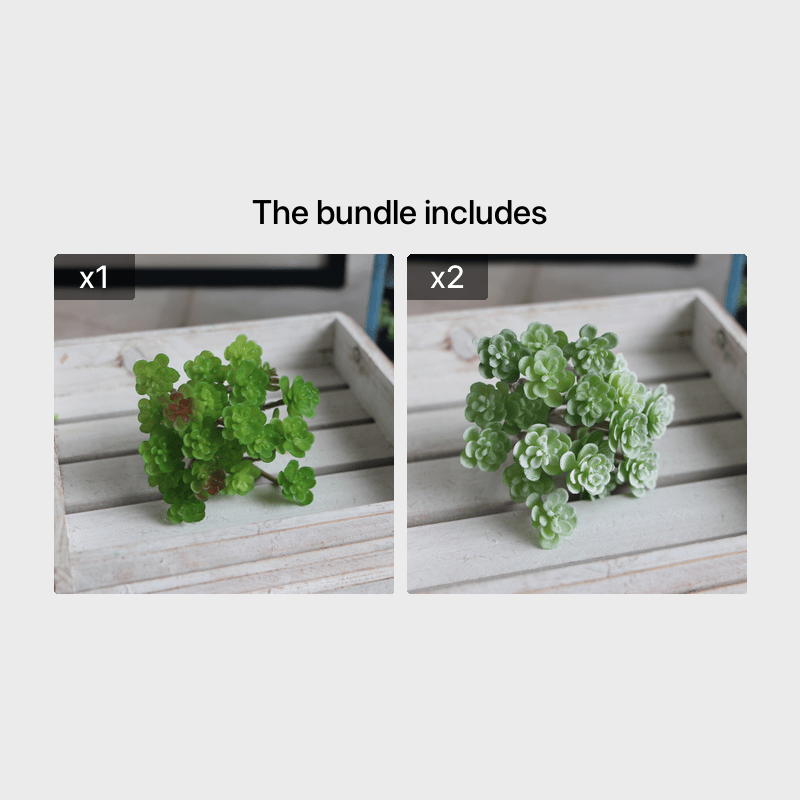 1 штука искусственного суккулента на 24 головы, идеального для создания цветочных композиций и домашнего декора. Отлично подходит для добавления реалистичной зелени на свадьбы и помолвки.