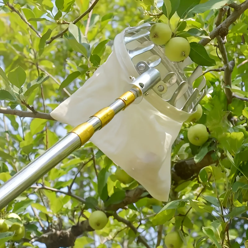 Stainless Steel Fruit Picking Tool for Apples Oranges Pears Safety Features Durable Garden Harvesting Device