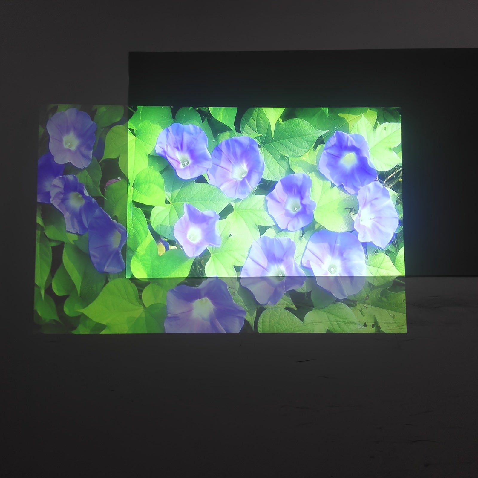 2023 Глянцевая проекционная панель из полиэстера для домашнего кинотеатра и уличных проекторов