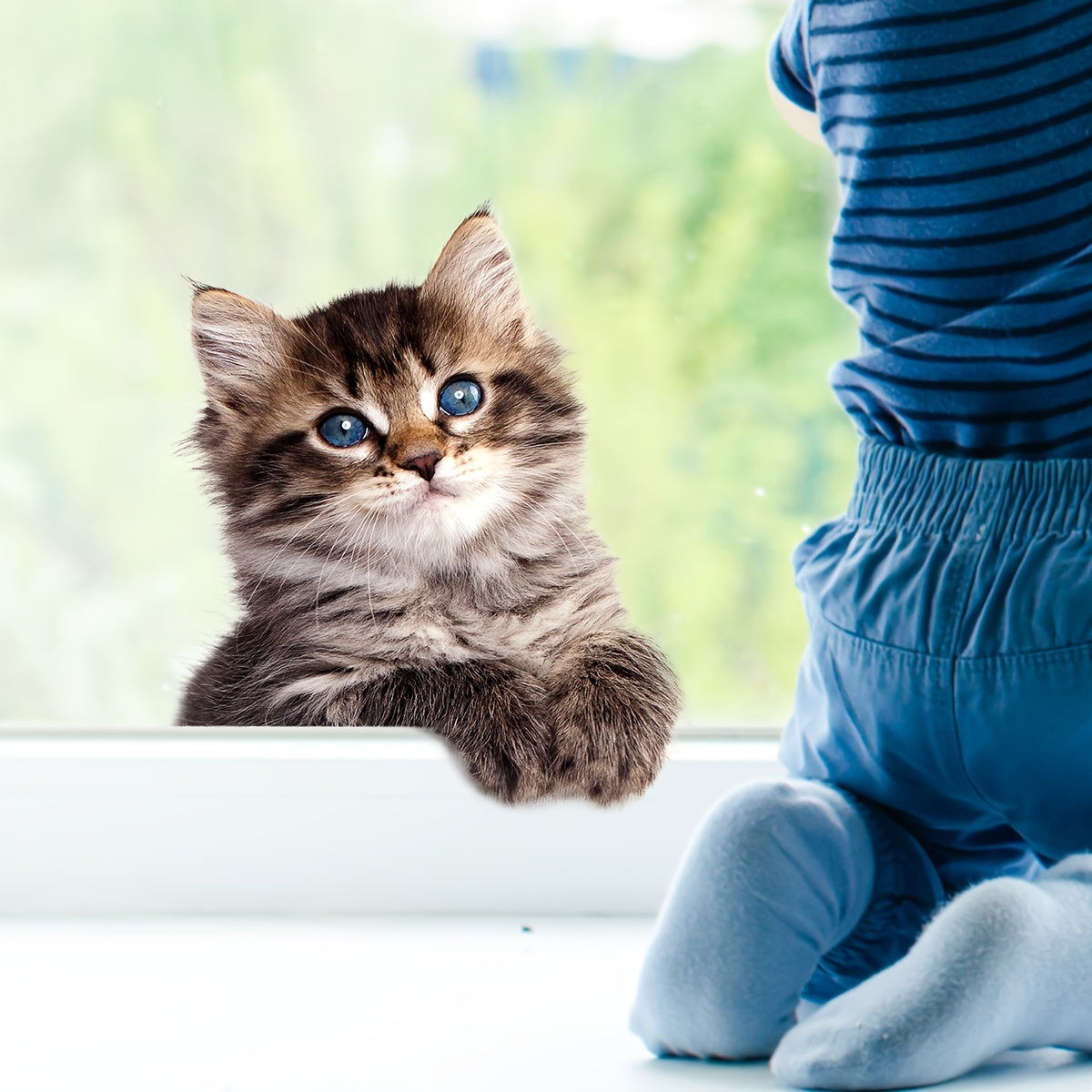 Plastic Cat Window Cling Sunlight Sticker Home Decor Wall Decal No Electricity