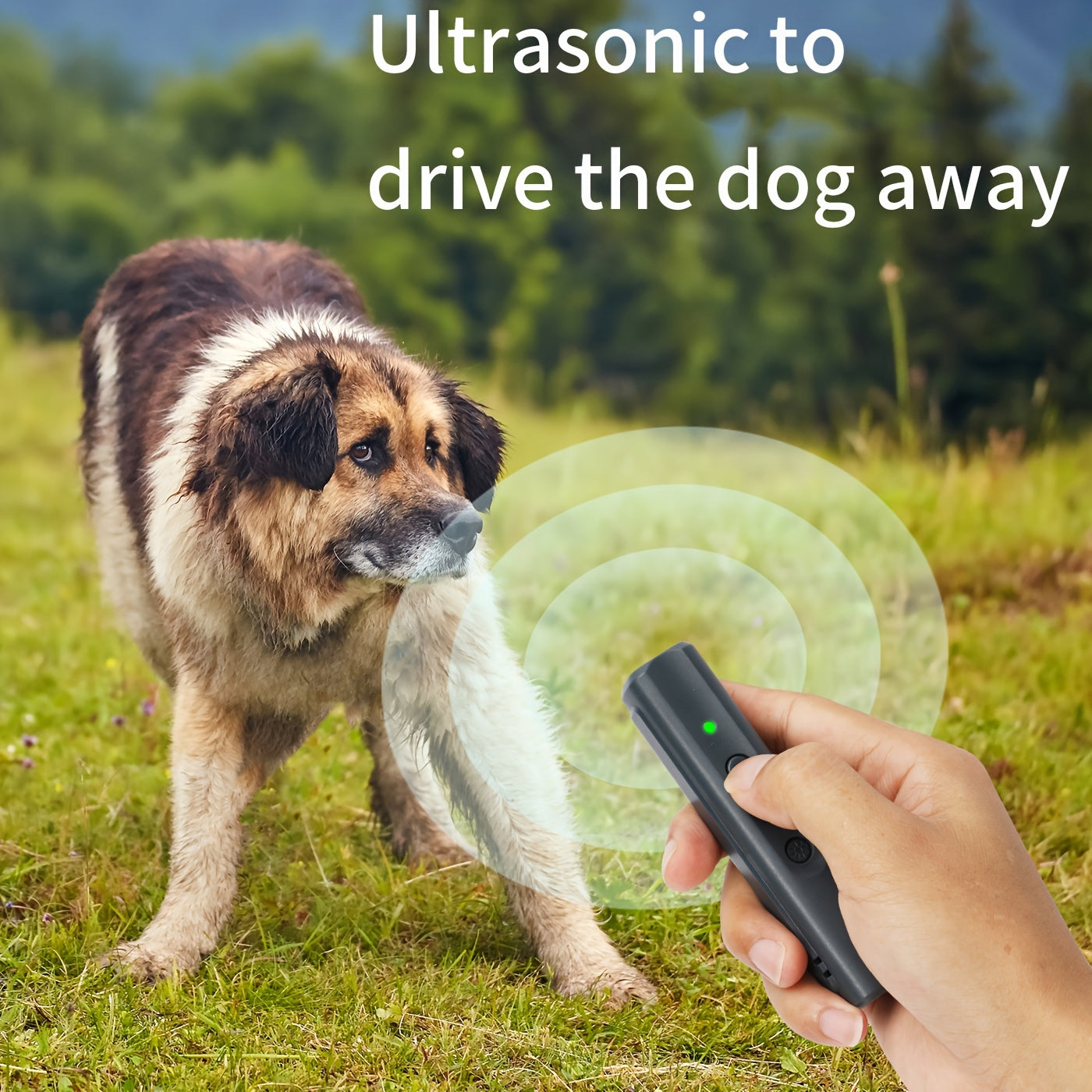 Портативный ультразвуковой репеллент для собак с УФ-лампой также обнаруживает грибок кольцевидного лишая у кошек, предназначен для использования на улице. #День_Короля