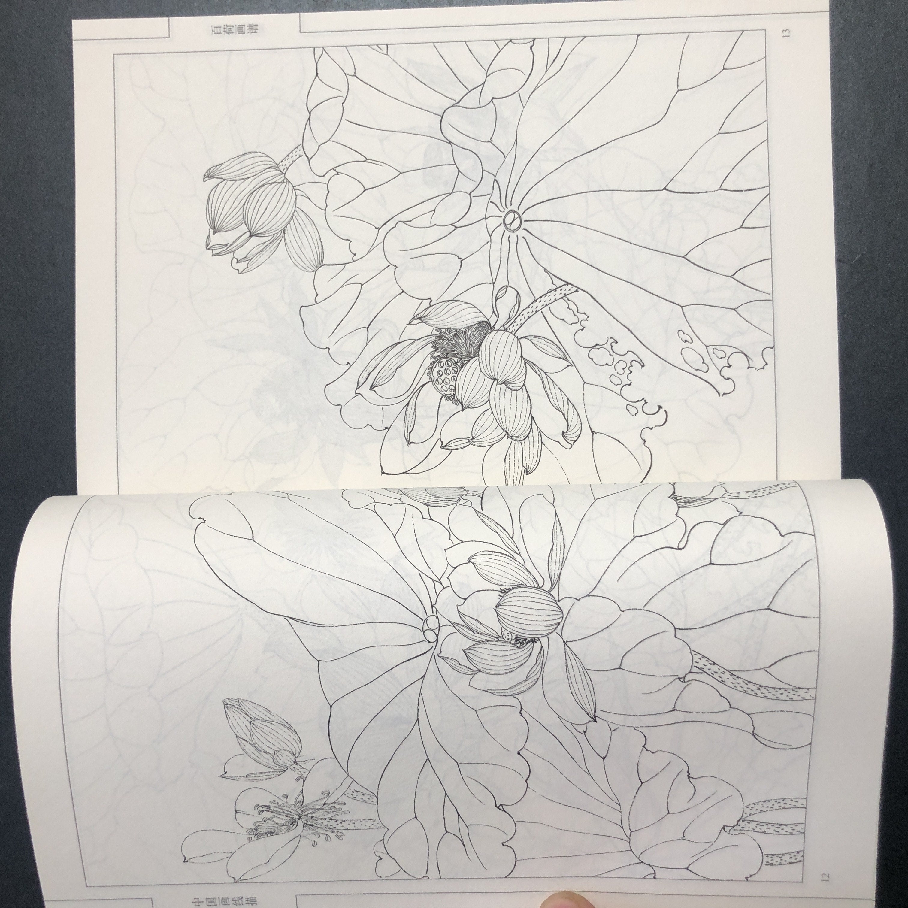 Chinese Traditional Art Painting Manual Paperback Chinese Language