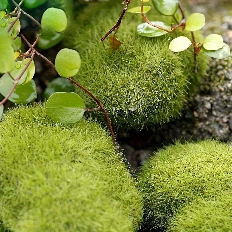 10 Pieces of Moss Green Miniature Garden Decor for Fairy Gardens, Aquariums, and Outdoor Spaces