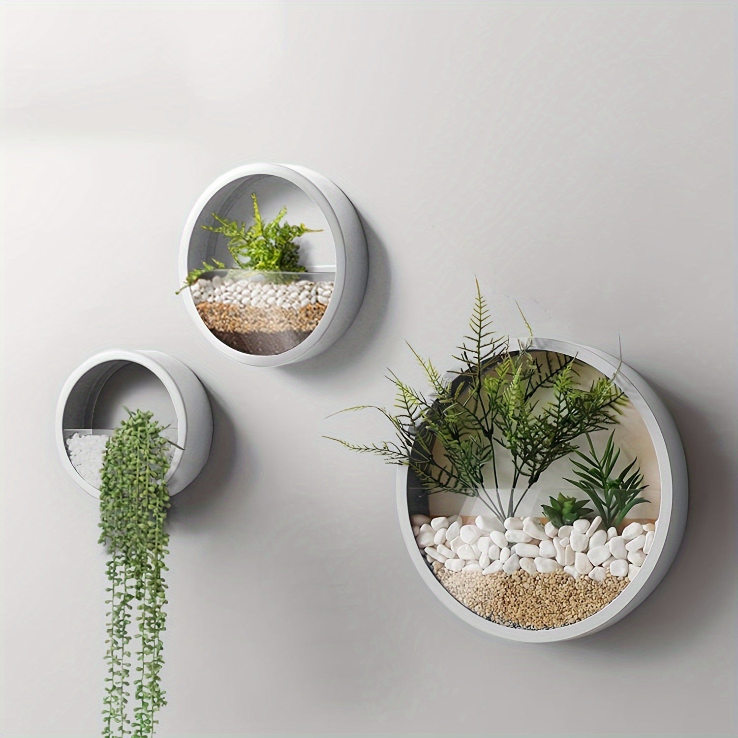 Modern Round Glass Wall Planters for Herbs Succulents and Cacti 1 or 2 Pack Indoor Balcony Patio Decor