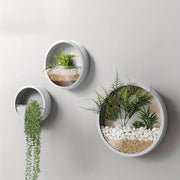 Modern Round Glass Wall Planters for Herbs Succulents and Cacti 1 or 2 Pack Indoor Balcony Patio Decor