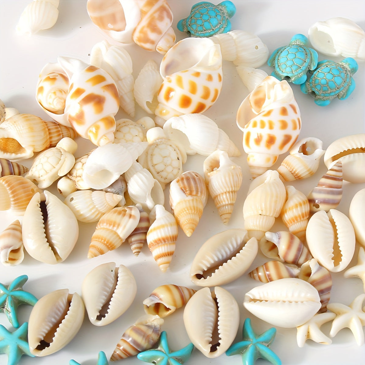 Set of 65 Assorted Natural Seashell Charms for Jewelry Making and Decor