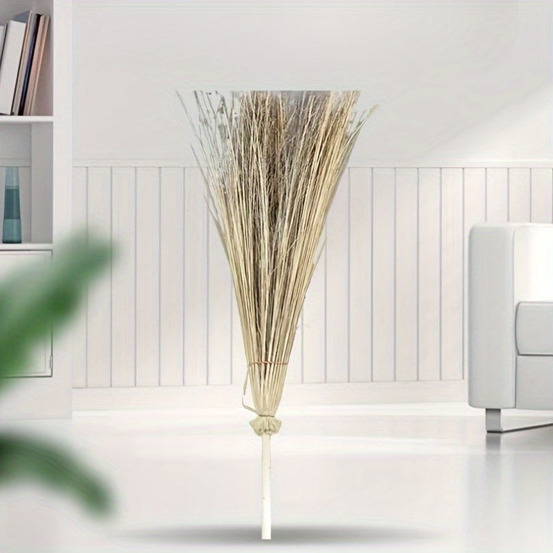 Sanitariya cho'tkasi, Ochiq bog' cho'tkasi, Achnatherum Splendens cho'tkasi, Fabrika yo'li cho'tkasi tozalash uchun maxsus