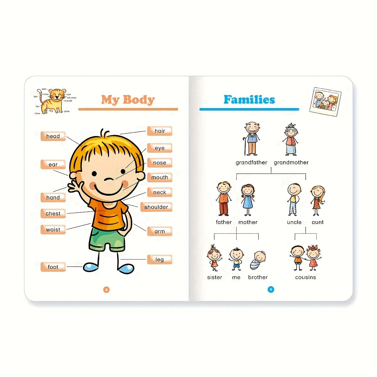 English Vocabulary Learning Book for Children Ages 4+ 32 Pages Educational Kids Book