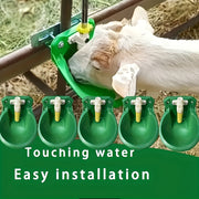 2-in-1 Livestock Feeder with Automatic Water Dispenser for Sheep and Goats Green Plastic