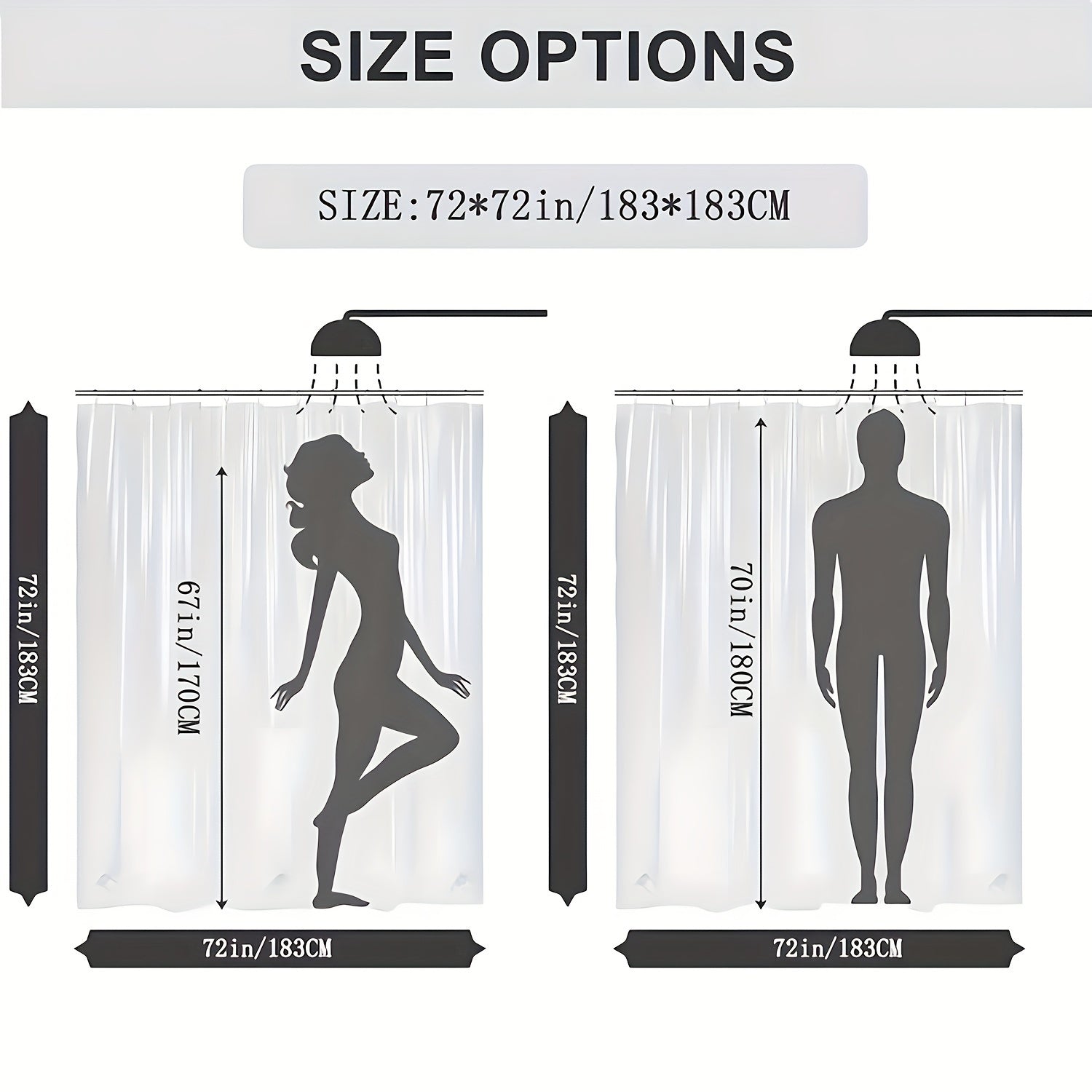 Polyester Shower Curtain with Vintage Zebra and Plant Print Includes 12 Hooks Animal Botanical Theme