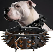 Leather Dog Collar for Medium to Large Dogs with Spiked Studs Heavy Duty Sturdy Buckle