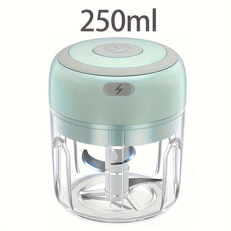 Electric Mini Garlic Chopper 100/250ml USB Meat Grinder Crushes Ginger Vegetables