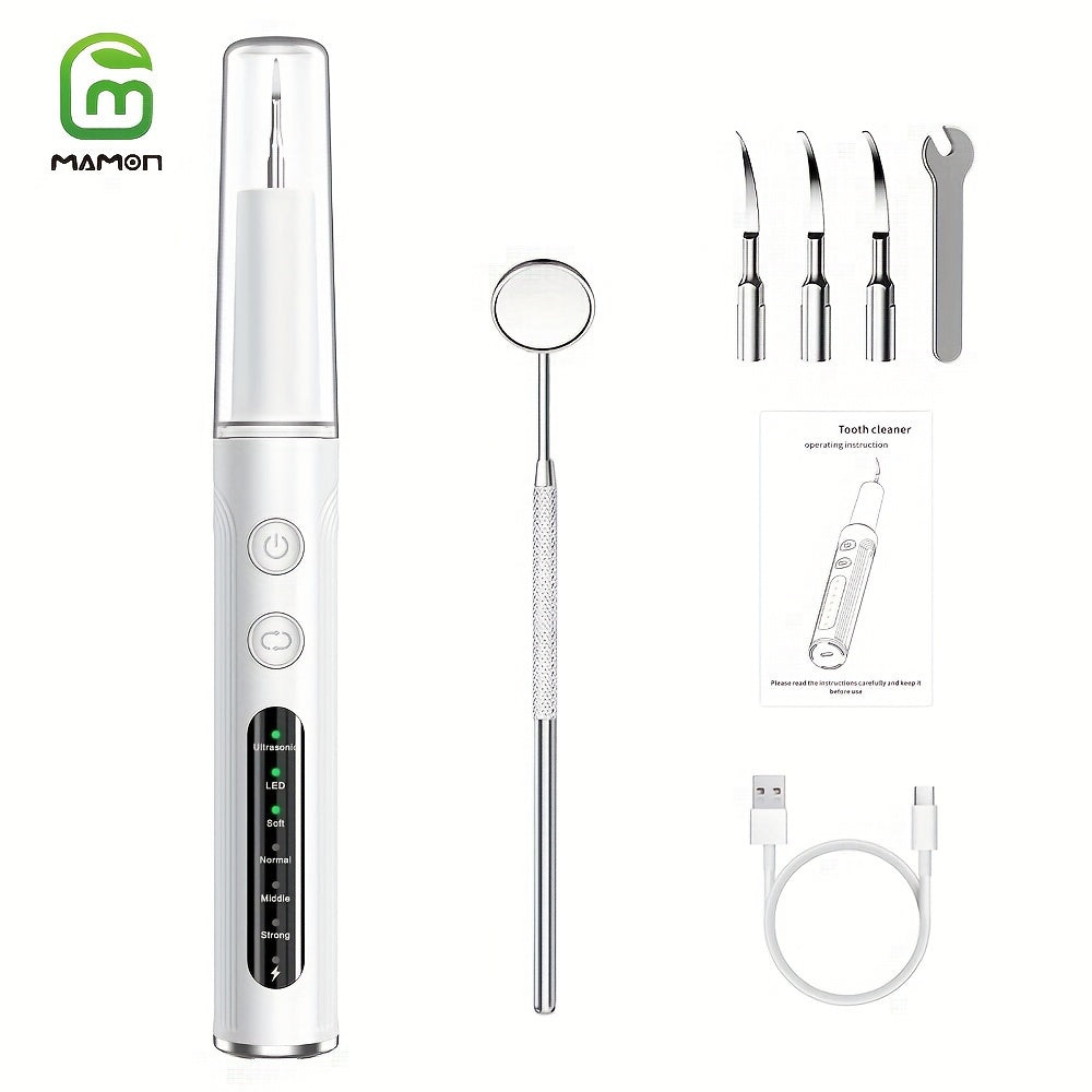 Teeth Cleaning Kit Rechargeable Plaque Tartar Remover with LED Light Stainless Steel Tools 4 Heads