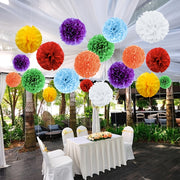 14 Pieces Paper Flower Ball Pom Pom Decorations for Party and Event