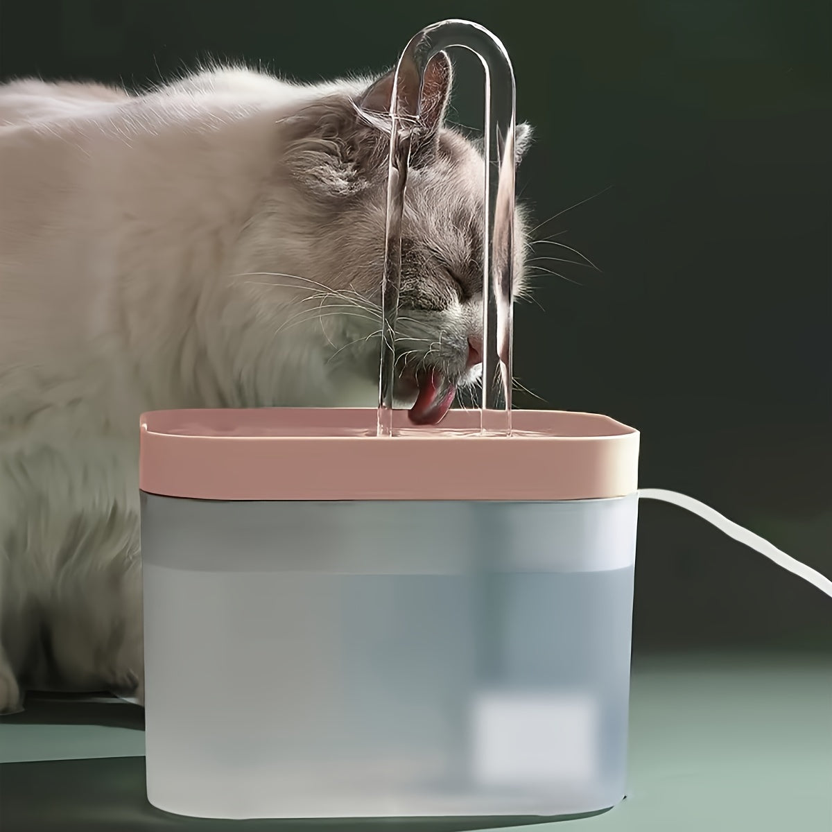 USB-Powered Pet Water Fountain for Cats and Dogs with Adjustable Flow No Batteries Needed