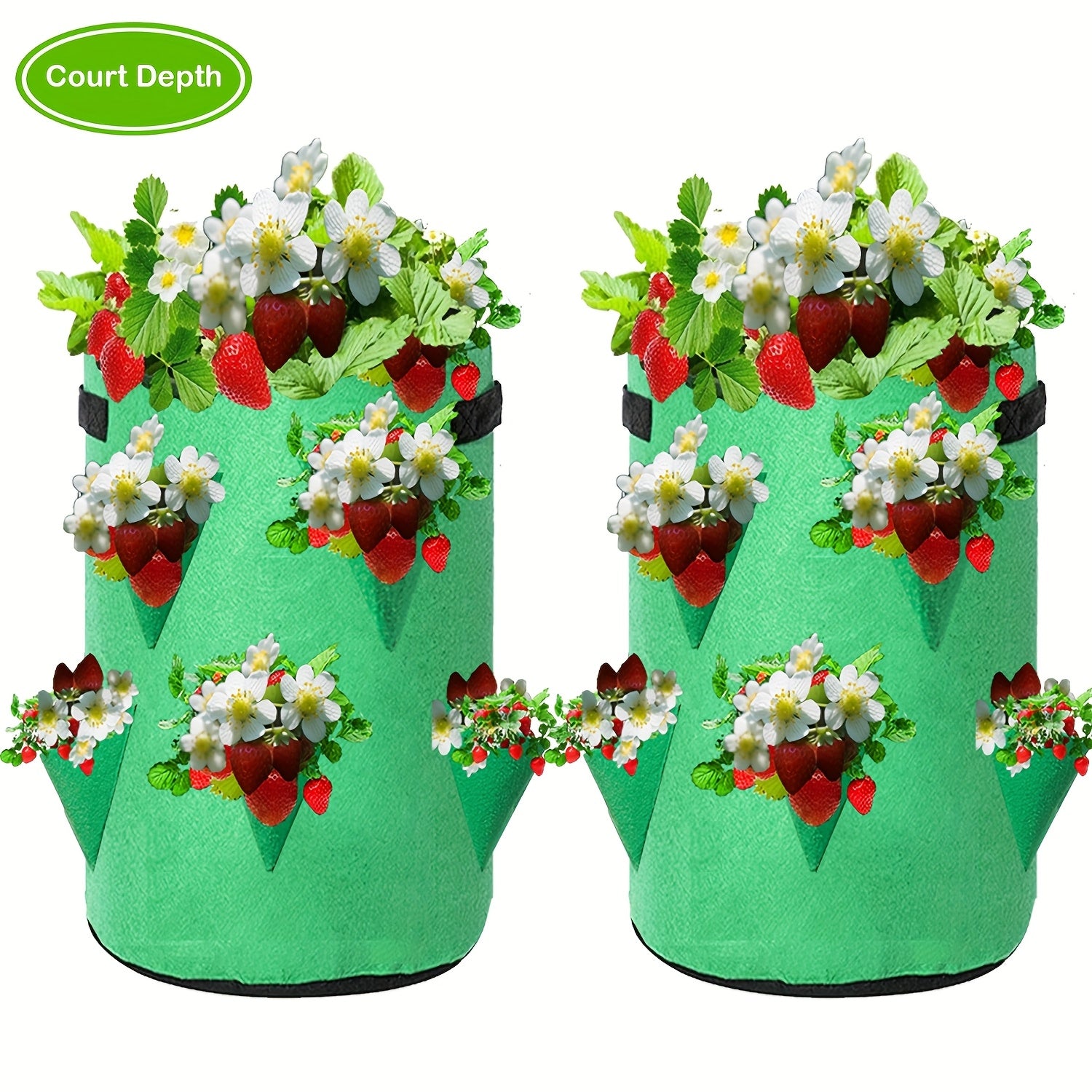 Set of 2 37.85L Strawberry Planting Bags with Window and Handle for Indoor Outdoor Gardening