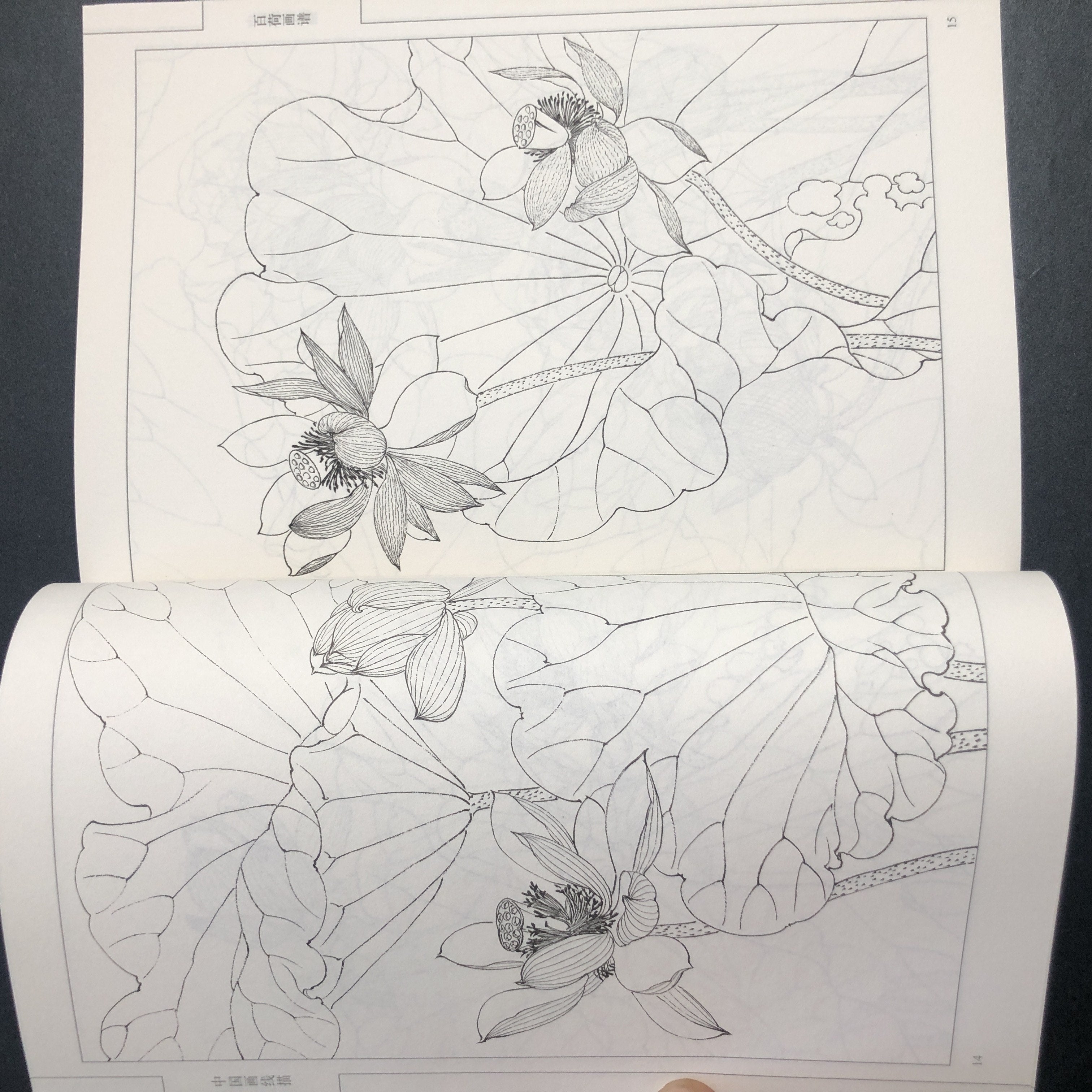 Chinese Traditional Art Painting Manual Paperback Chinese Language