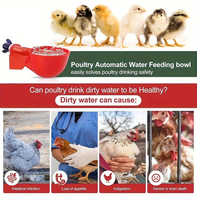 Kichik qushlar uchun qushlar uchun oziq-ovqat beruvchi, PP materialdan tayyorlangan, o'z-o'zini to'xtatadigan suv idishi, elektrsiz
