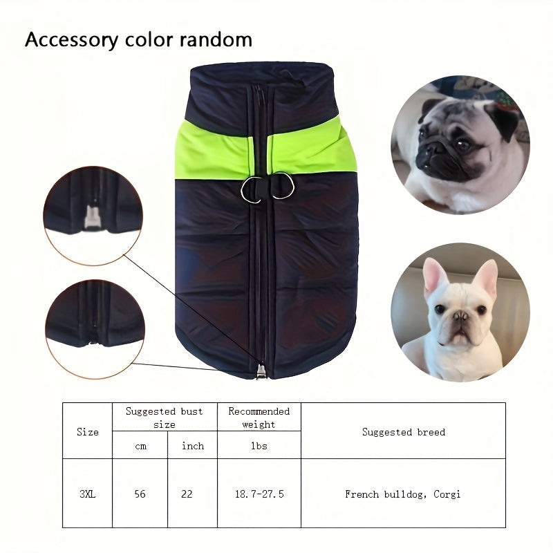 Windproof Winter Dog Jacket for Medium Breeds Polyester Zippered Warm Outdoor Apparel