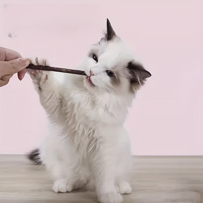 Palitos de masticar dentales para gatos en interior, 12.5cm, paquete de 5 o 15 para la salud dental