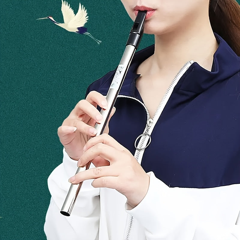 Beginners va professional uchun alyuminiy irish fleyta, C D o'lchovli, laklangan, qizil, ko'k, yashil, to'q purple