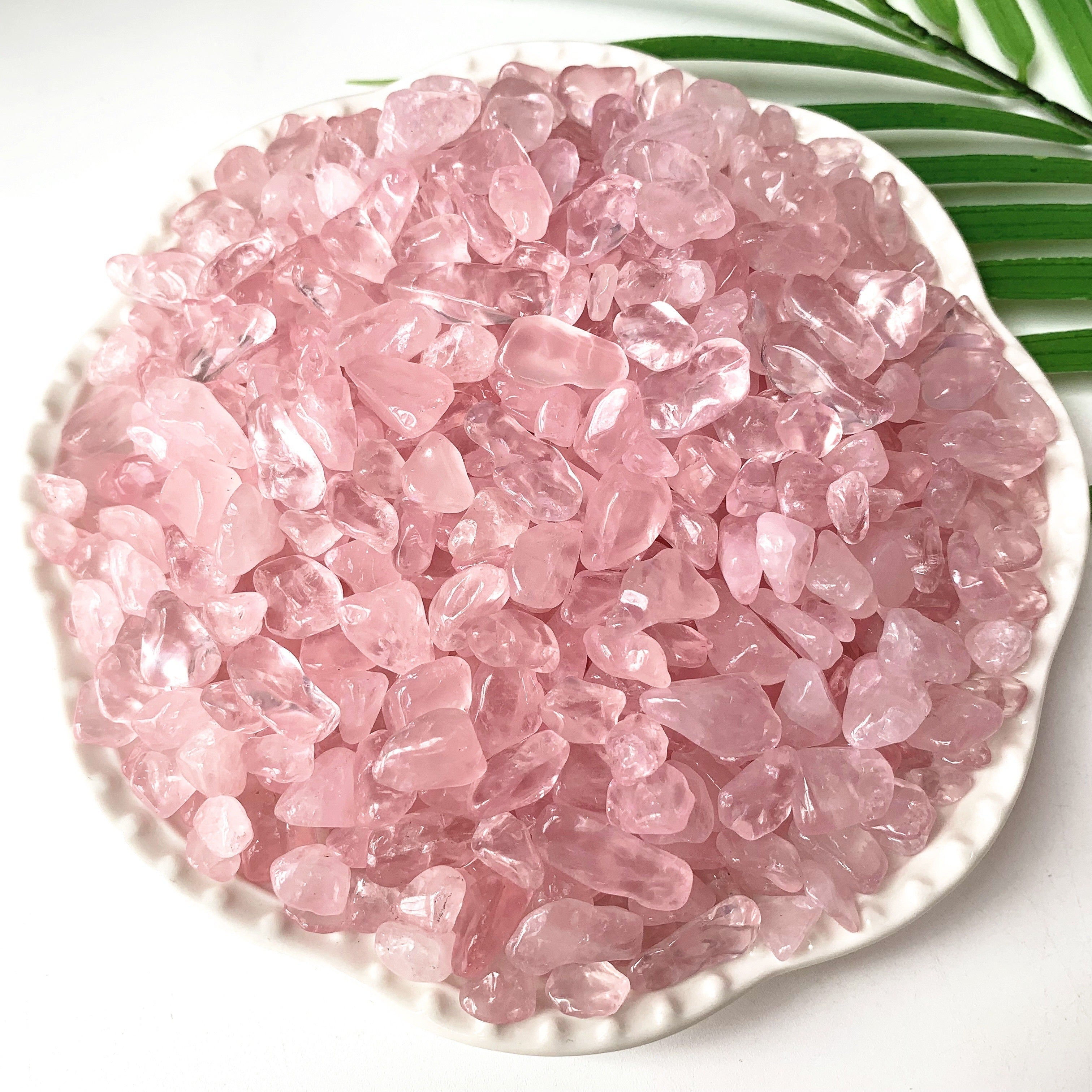 Natural Rose Quartz Chips 50g 100g for Healing and Decoration in Plants and Terrariums