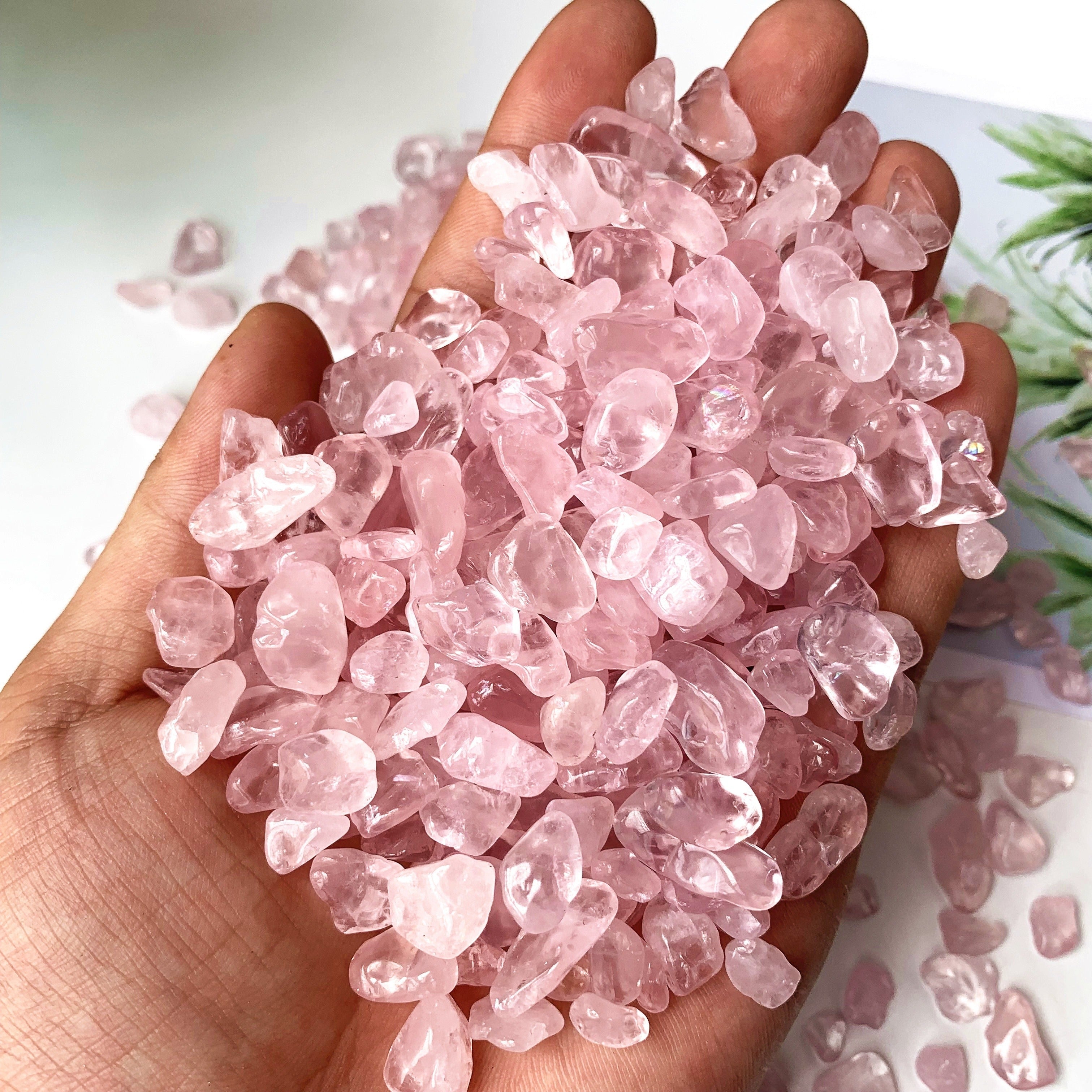 Natural Rose Quartz Chips 50g 100g for Healing and Decoration in Plants and Terrariums