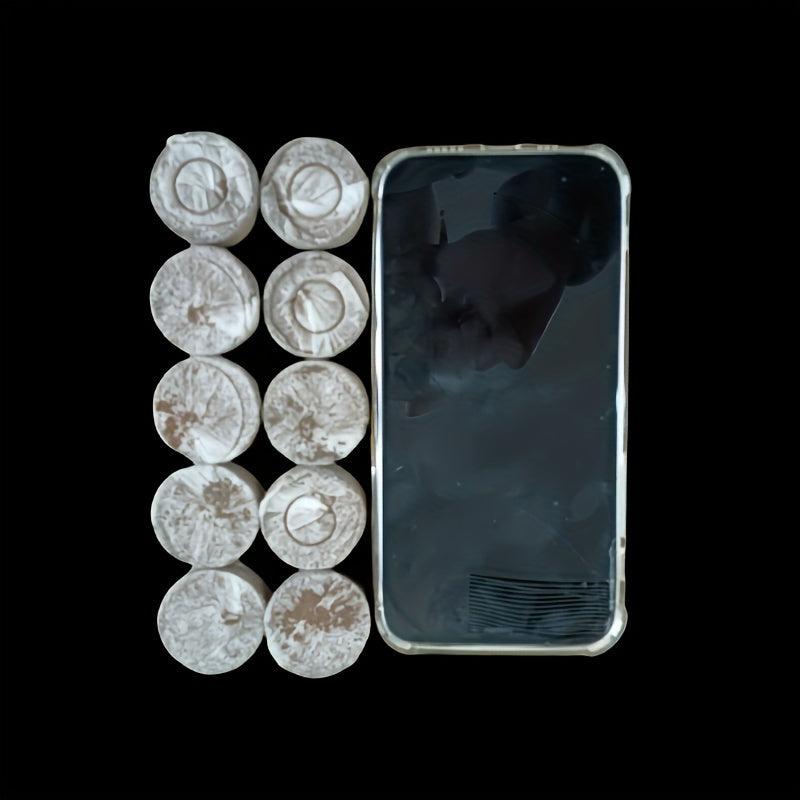 10/20/30 Pcs Compressed Peat Fiber Seedling Trays for Herbs Flowers Vegetables