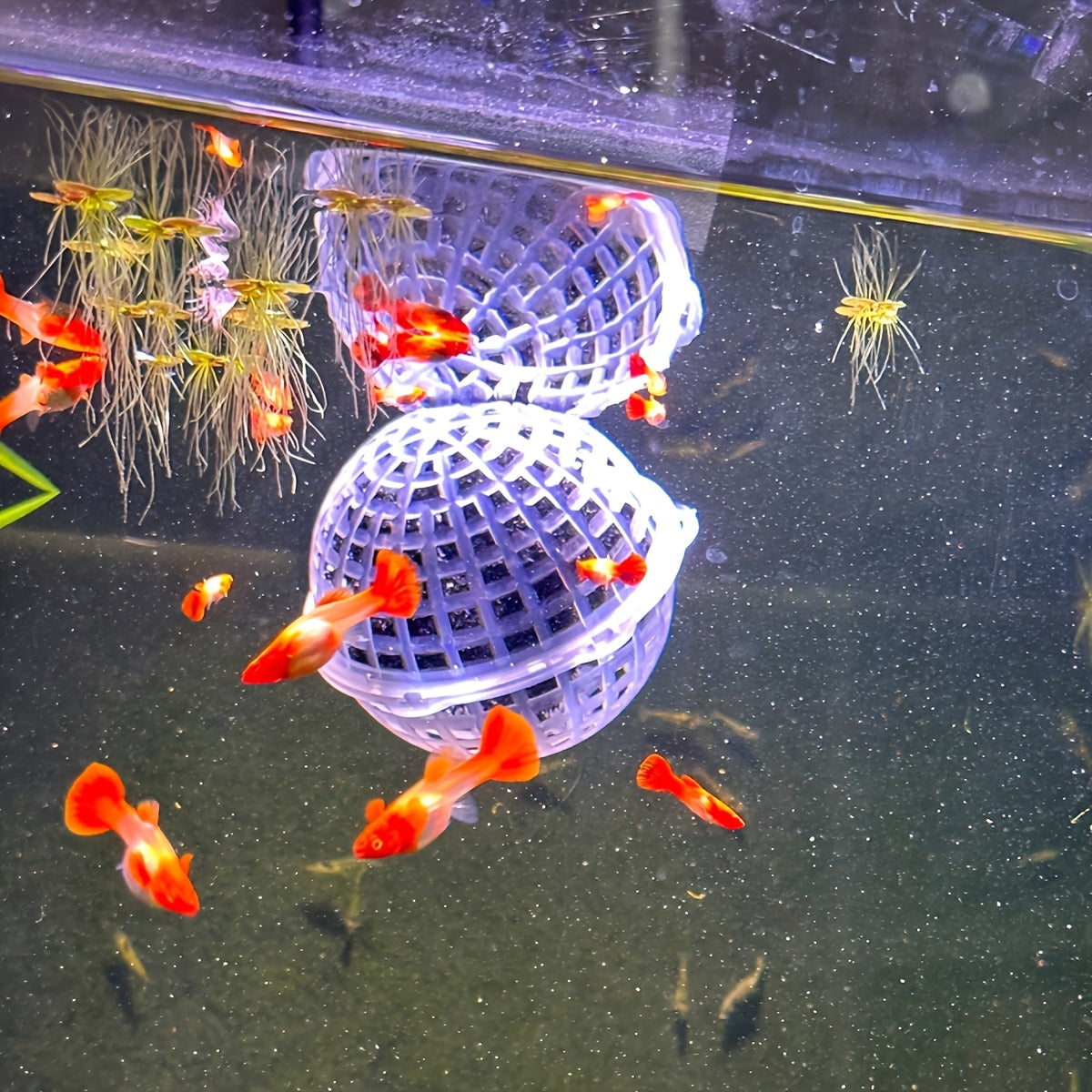 4pcs Moss Ball Holders for Fish Tank Decor High-Index Plastic Aquarium Accessories