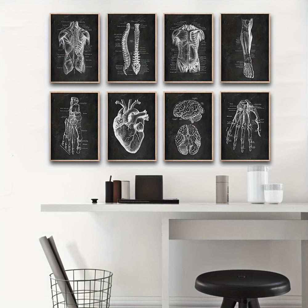 8 Pieces Human Anatomy Canvas Art Prints Skeleton Muscle Medical Posters for Education and Study Room Decor