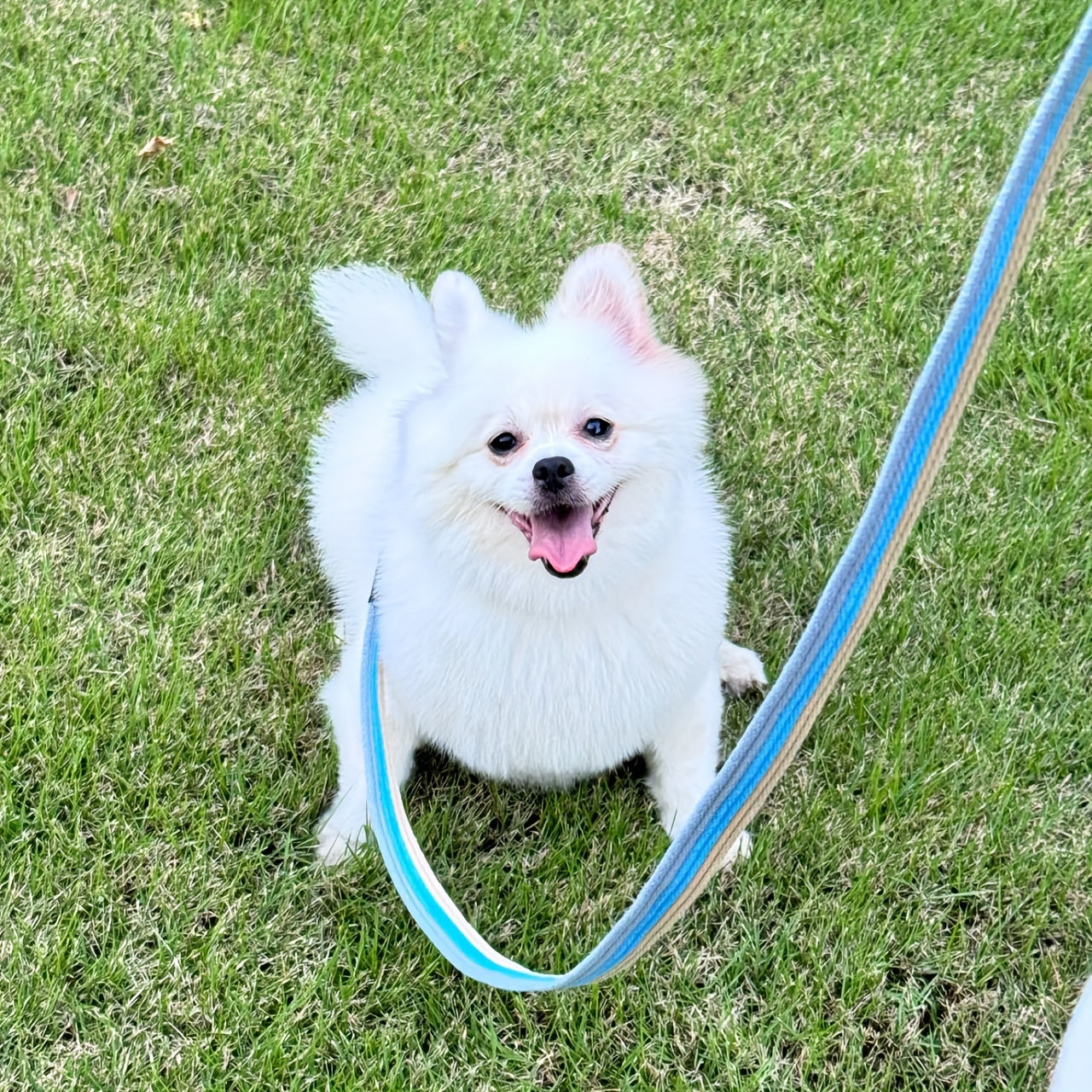 Прочная полосатая собачья поводка из полиэстера с нескользящей ручкой, тяжелого типа, для всех пород