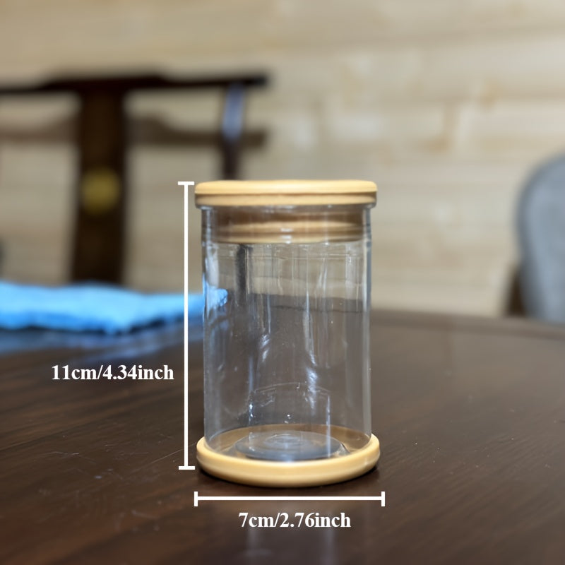 Transparent Plastic Modern Flower Pot for Indoor and Outdoor Use