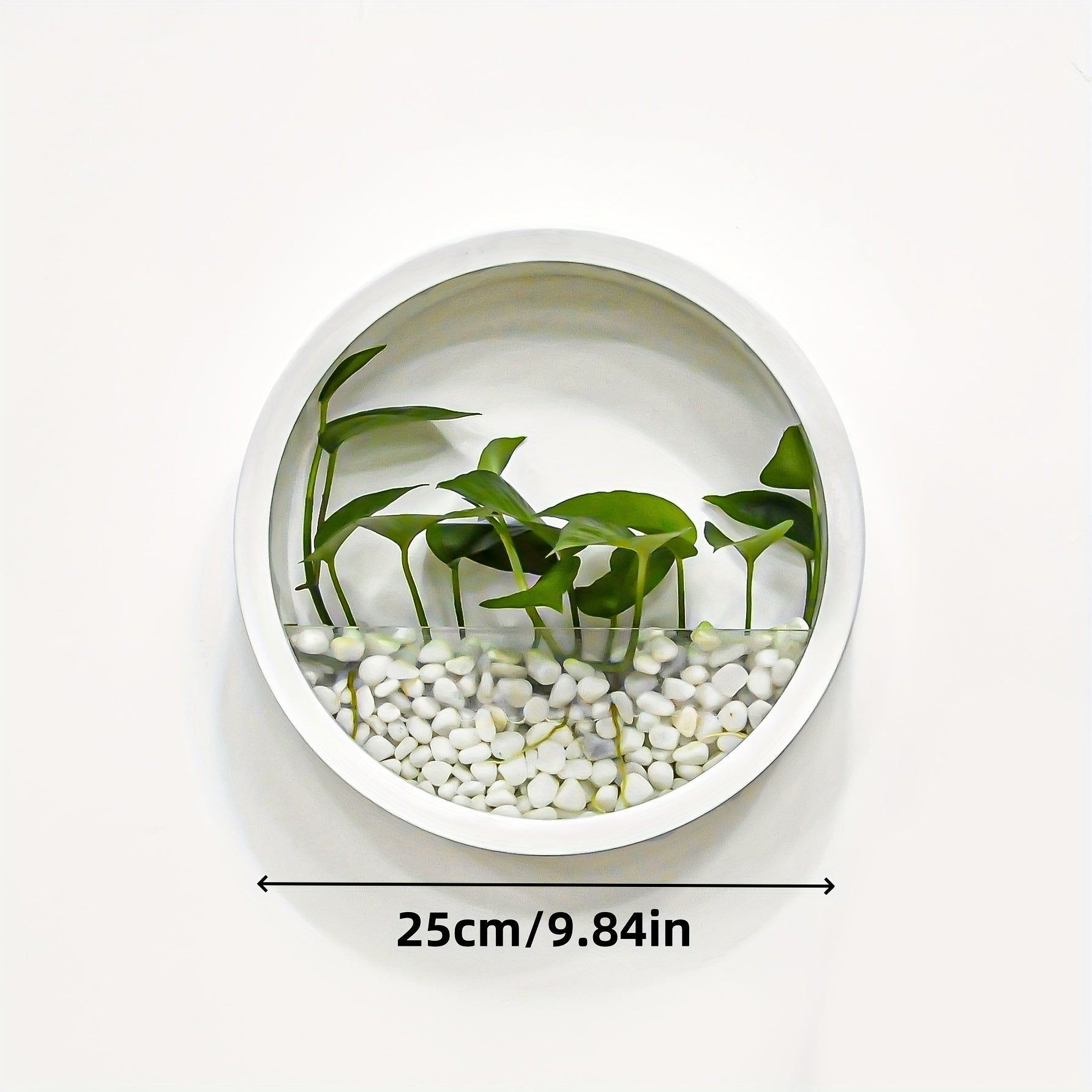 Modern Round Glass Wall Planters for Herbs Succulents and Cacti 1 or 2 Pack Indoor Balcony Patio Decor