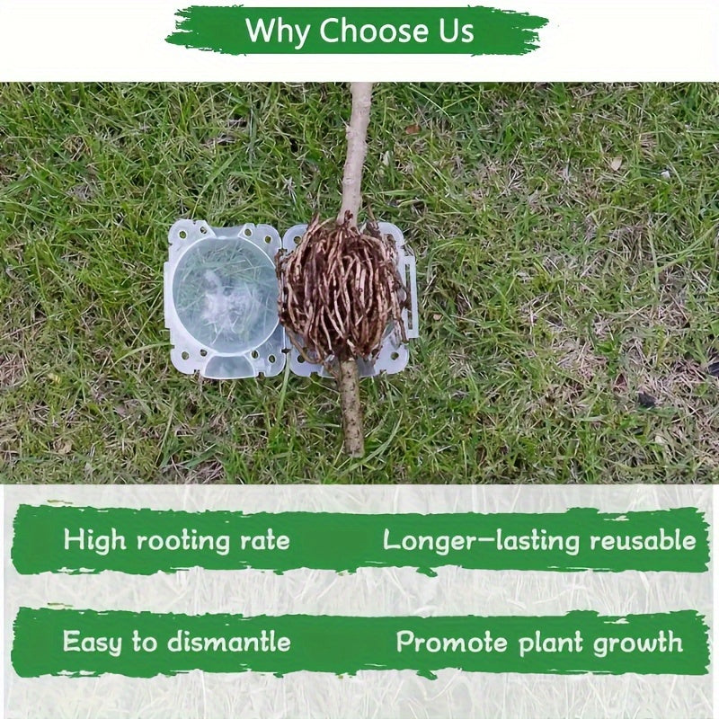Reusable Plant Root Grow Box 5/20 Pack for Grafting and Propagation